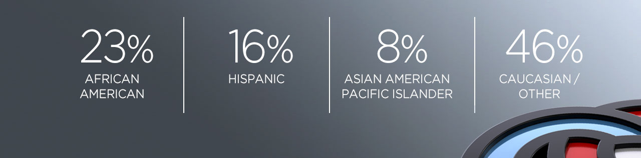 Primerica Diversity Rep Status